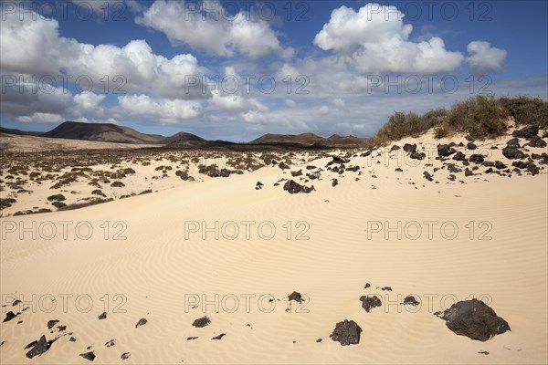 Wandering dunes El Jable