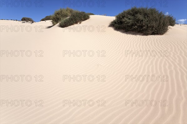 Sand dunes