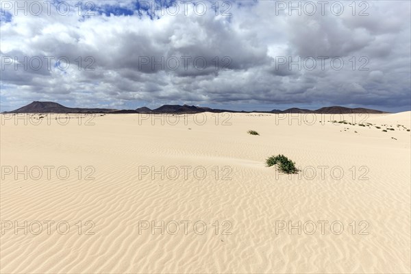 Sand dunes