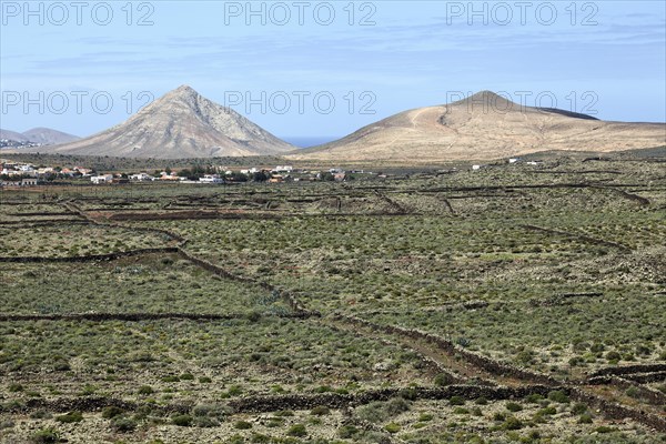 Landscape at La Oliva