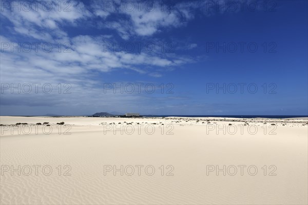 White sand dunes in the wandering dunes of El Jable