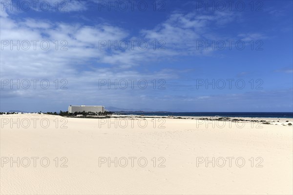 White sand dunes in the wandering dunes of El Jable