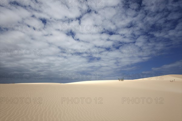 Sand dunes under blue sky with clouds