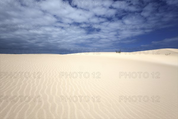 Sand dunes under blue sky with clouds