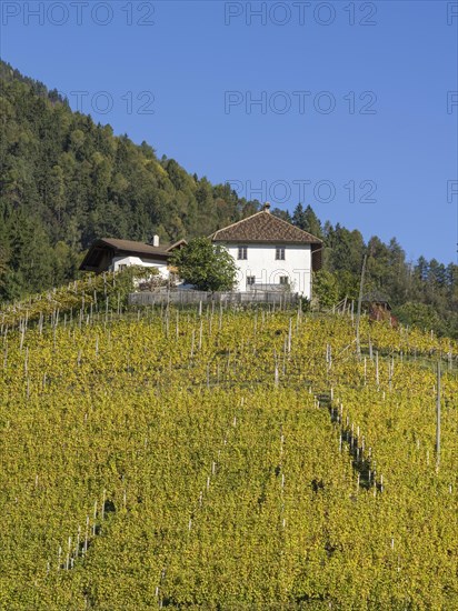 Autumnal vineyards and farmhouse