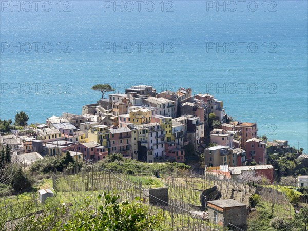 Corniglia