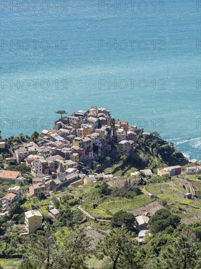 Corniglia