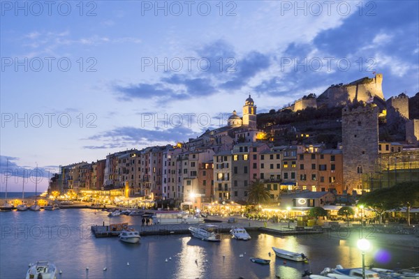 Harbor in the evening light