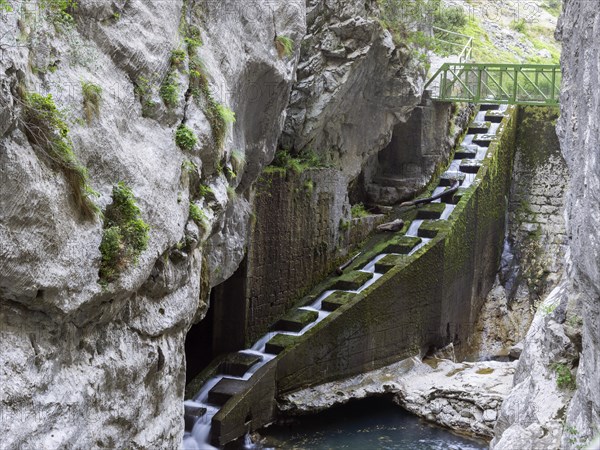 Fish ladder