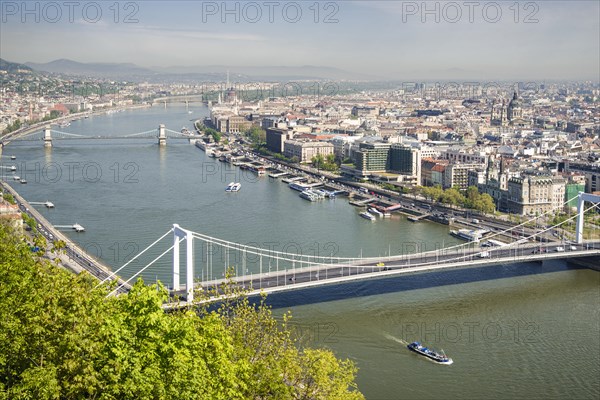 Elisabeth Bridge and the Danube