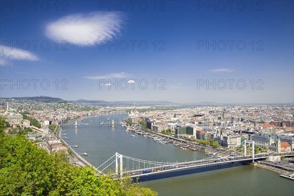 Cityscape with Elisabeth Bridge and the Danube