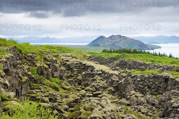 Lava field in the national park Pingvellir