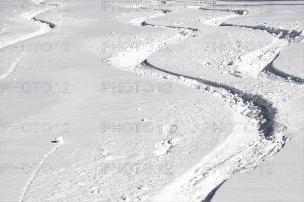 Ski tracks in powder snow