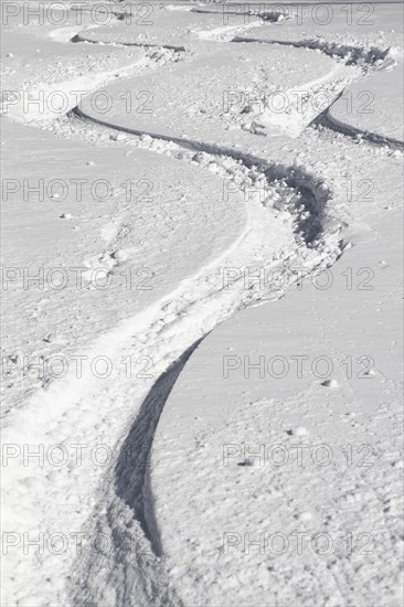 Ski tracks in powder snow