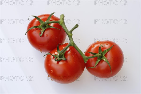 Vine tomatoes