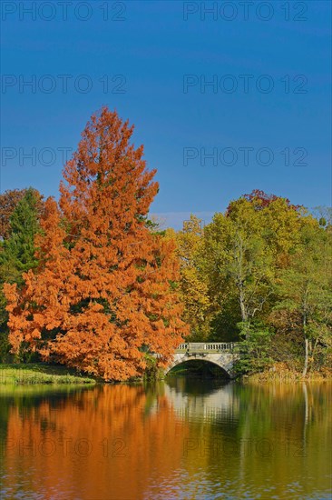 Autumn in Worlitzer Park