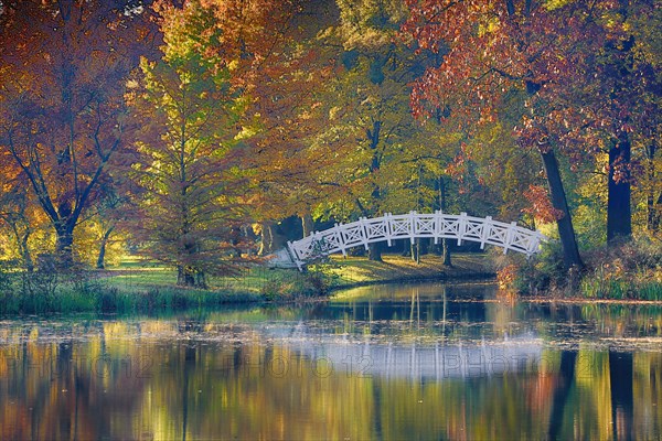 Autumn in Worlitzer Park