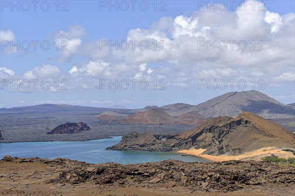 Bartolome Island