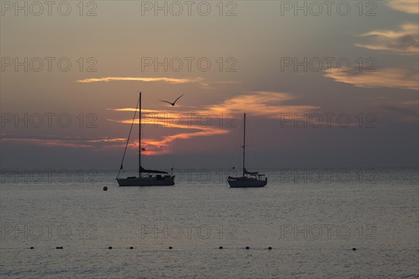 Two sailboats at sea at sunset
