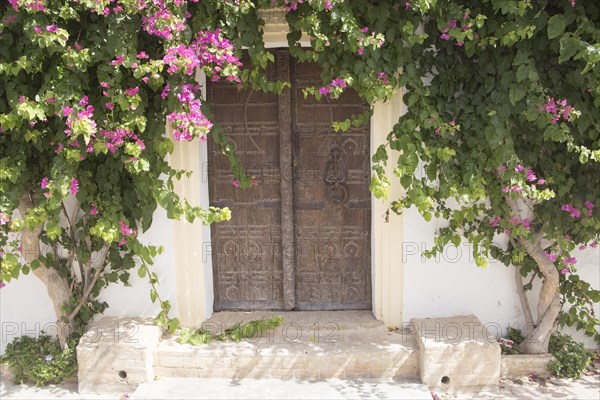 Door with bougainvillea