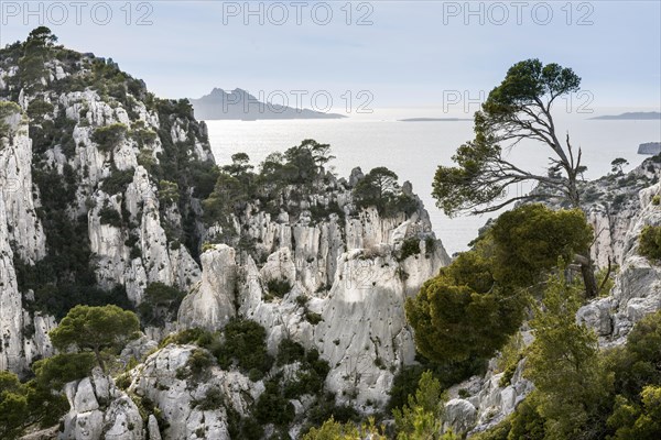 Massif des Calanques, Marseille