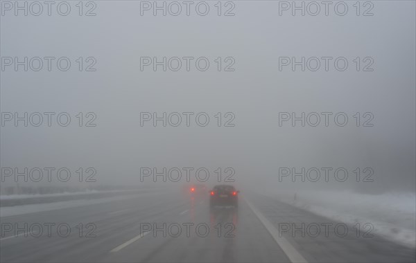 Cars in the mist