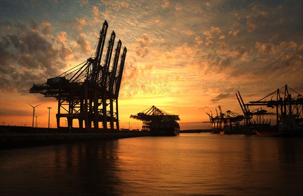 Loading cranes at sunset in the Waltershofer Harbor