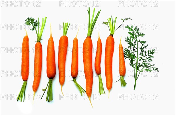 Carrots against a white background