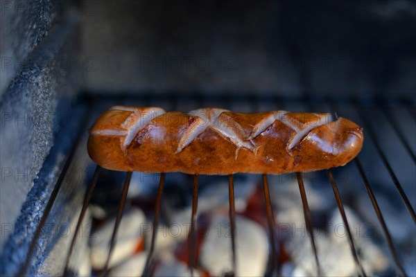 Stuttgart red sausage on grill