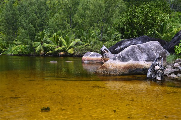 Brackish lagoon on the beach of Anse Lazio