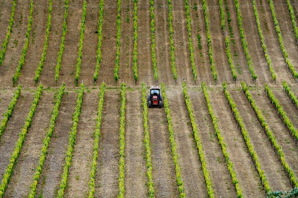 Tractor in vineyard in springtime
