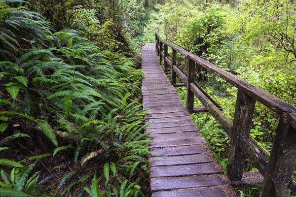 Boardwalk