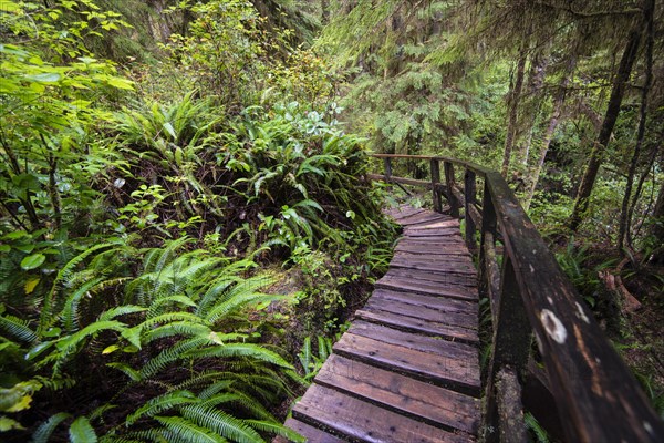 Boardwalk