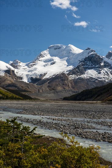 View from Highway Icefields Parkway