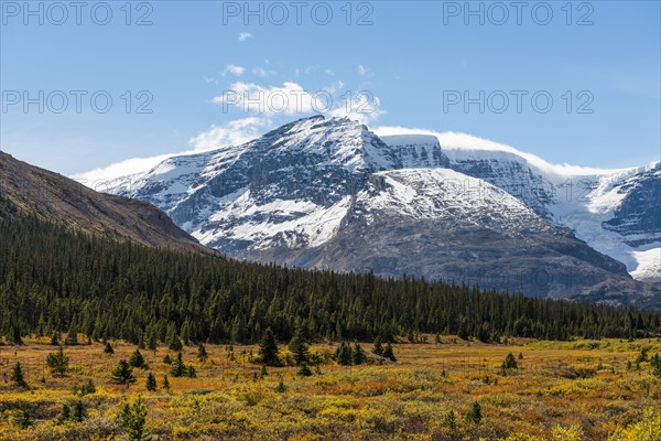 Near Highway Icefields Parkway