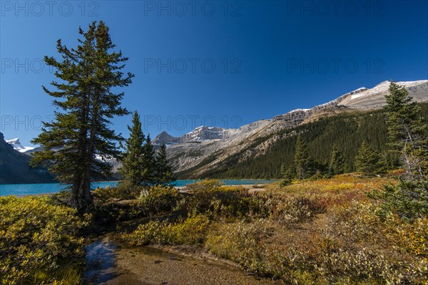 Trail on glacial lake Bow Lake