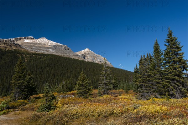 Trail on glacial lake Bow Lake