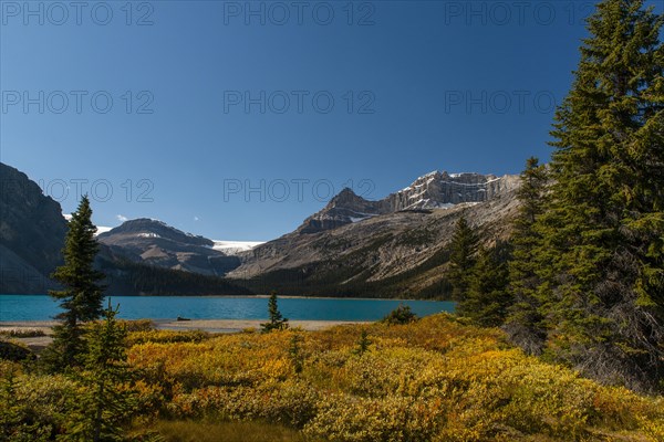 Glacial lake Bow Lake