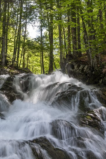 Waterfall in the Dr. Vogelgesang gorge at the Trattenbach