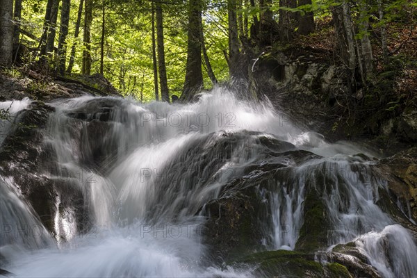 Waterfall in the Dr. Vogelgesang gorge at Trattenbach