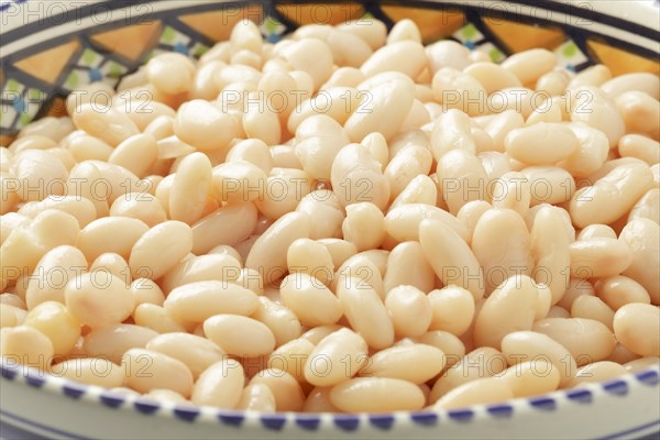 White beans