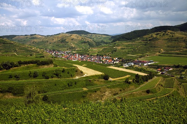 View from the Mondhalde towards Oberbergen