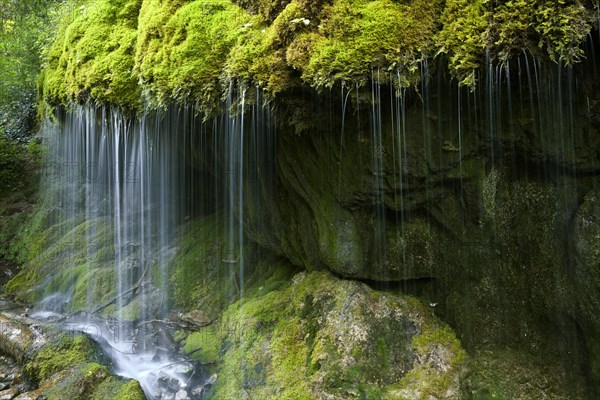 Mossy waterfall