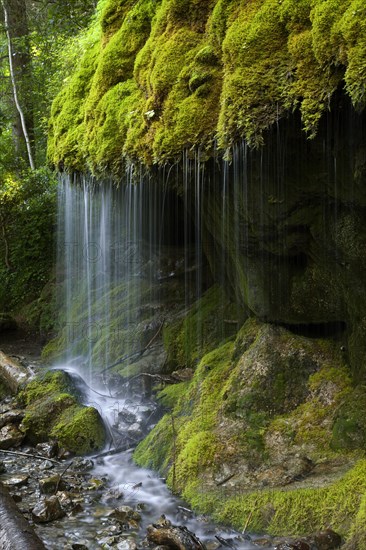 Mossy waterfall