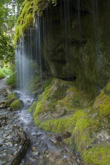 Mossy waterfall