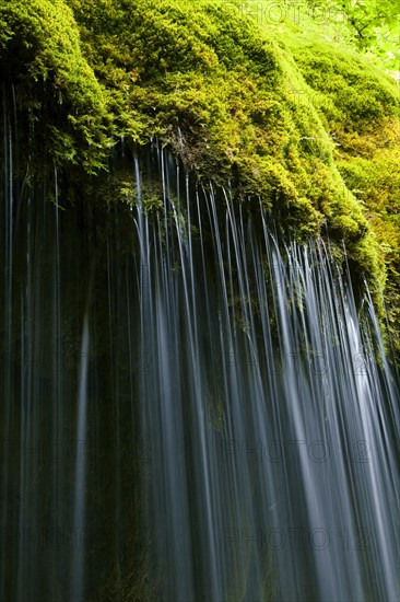 Mossy waterfall