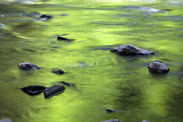 Stones in the riverbed