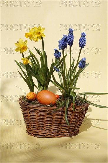 Easter basket with easter eggs