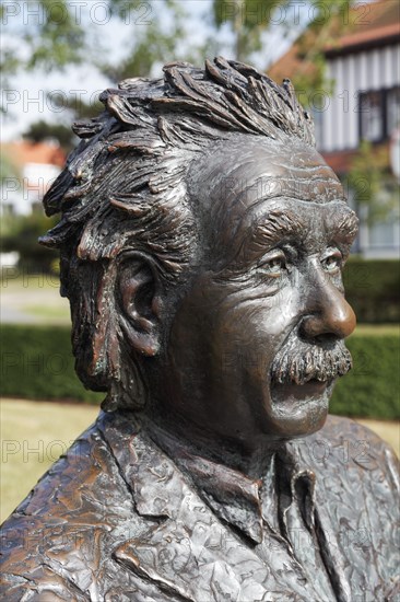 Albert Einstein