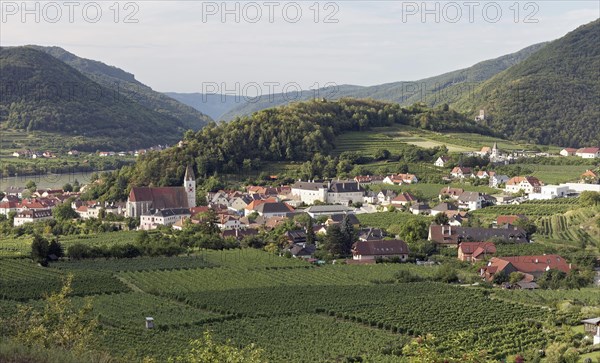 View over vineyards to Spitz an der Donau